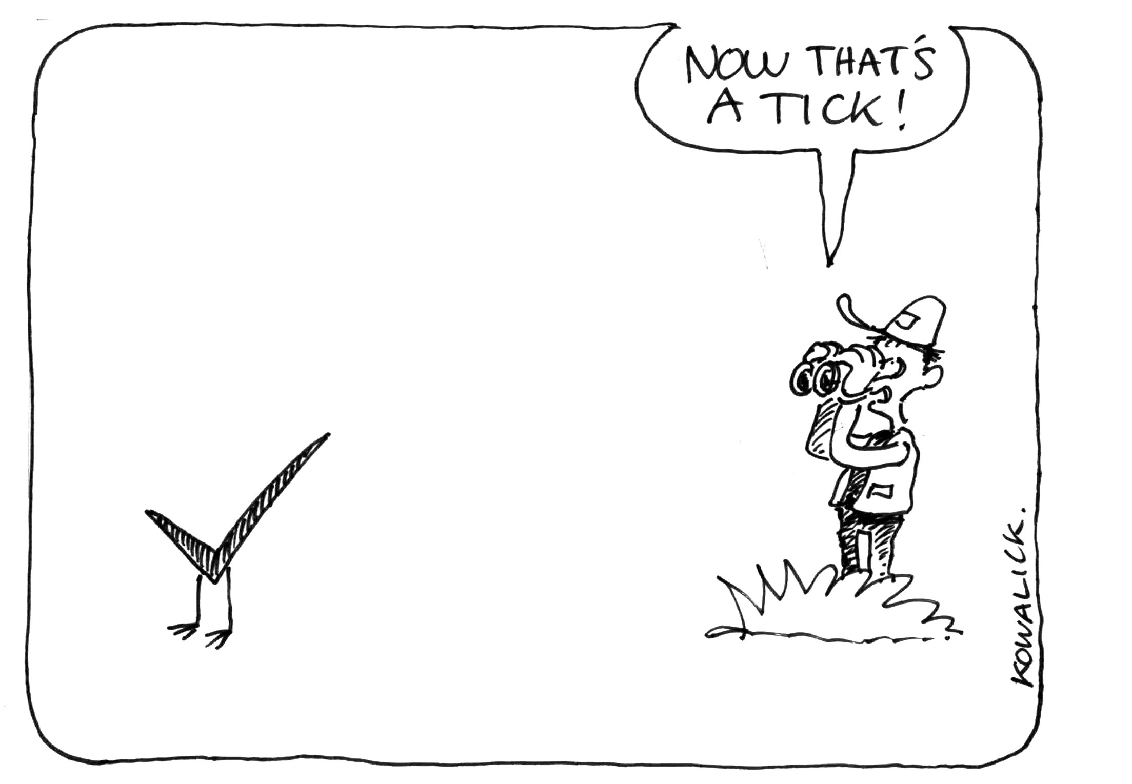 Birding cartoon preview