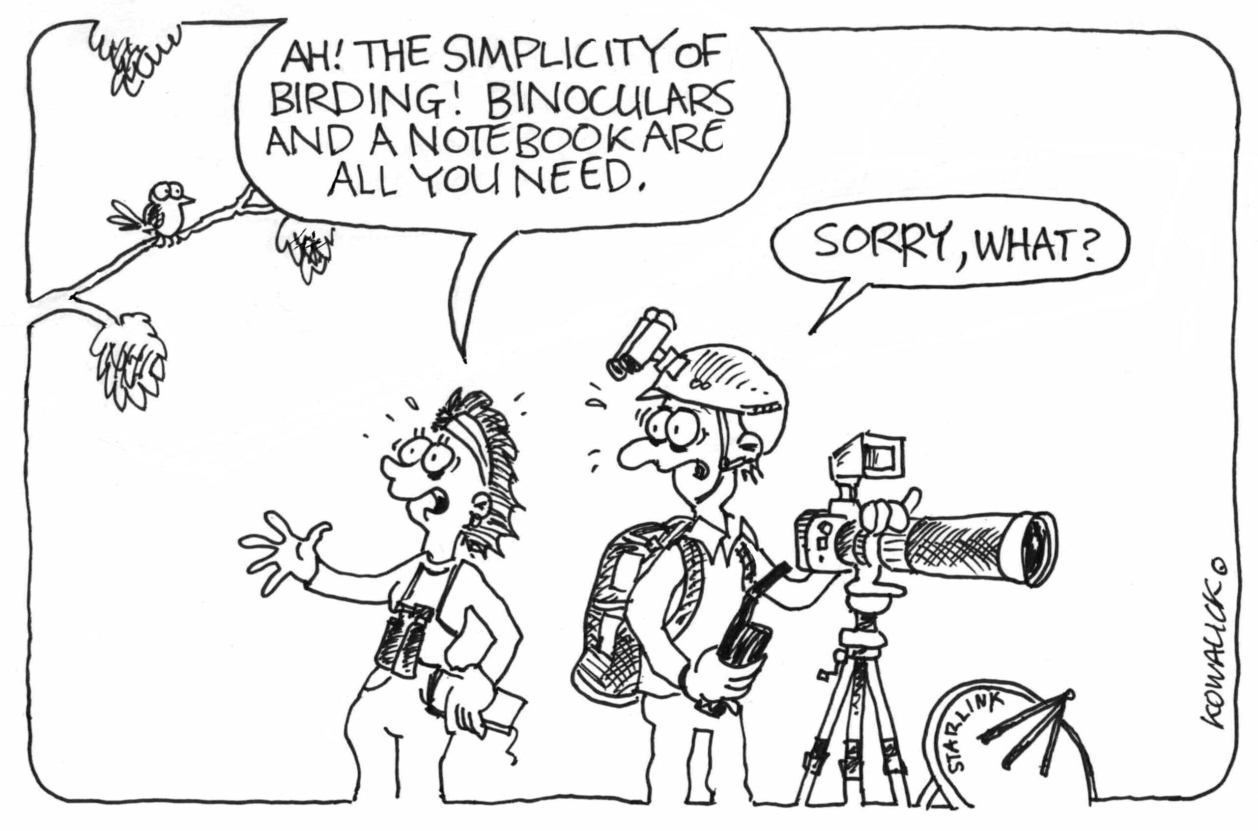Birding cartoon preview
