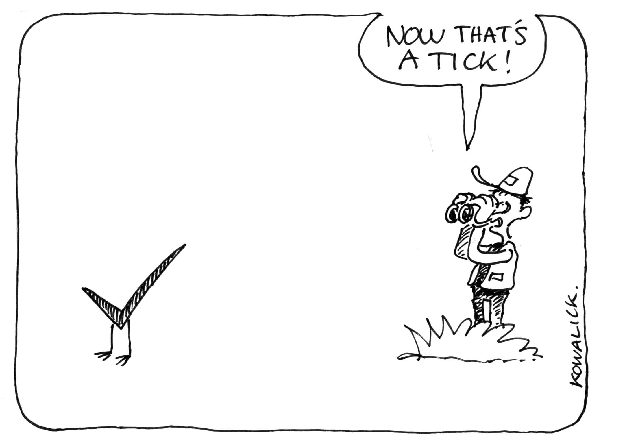 Birding cartoon preview