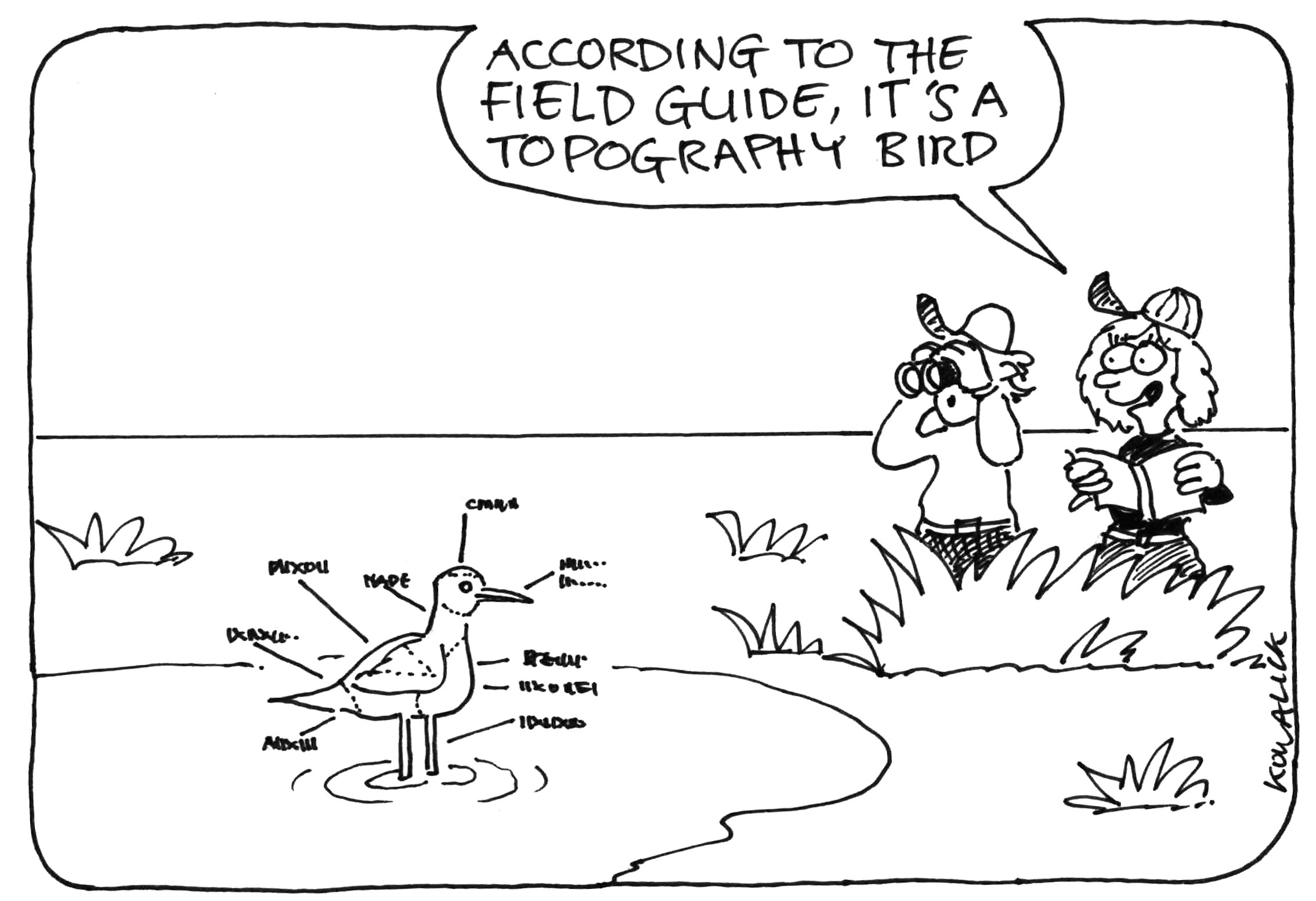 Birding cartoon preview